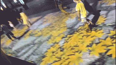 户外地面互动投影