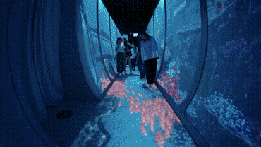 海底世界沉浸数字体验展厅